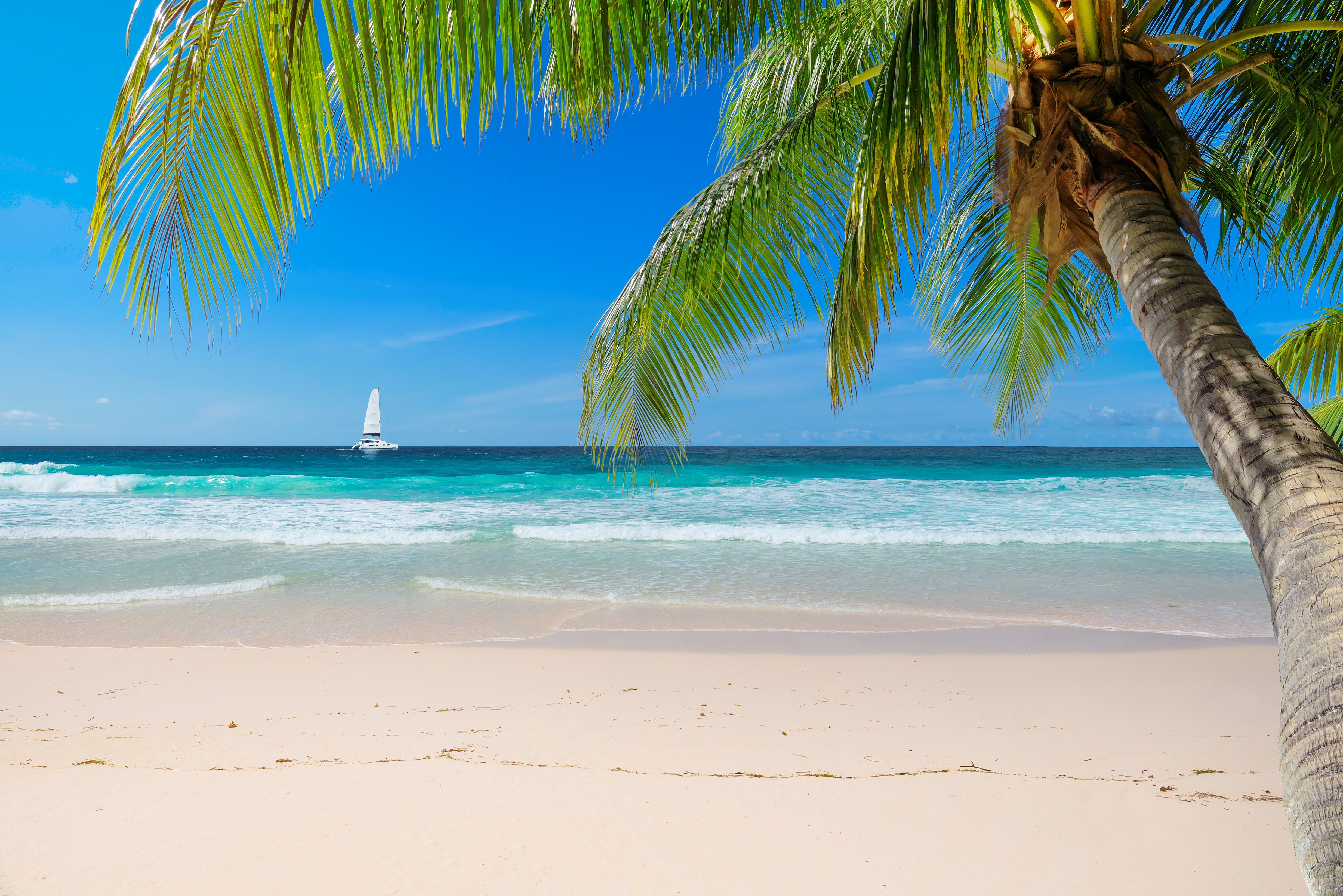 Caribbean Programme